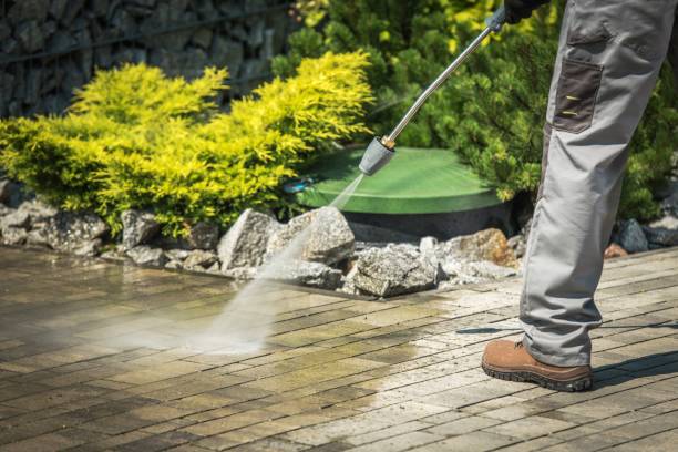 Best Sidewalk and Walkway Cleaning  in Munhall, PA